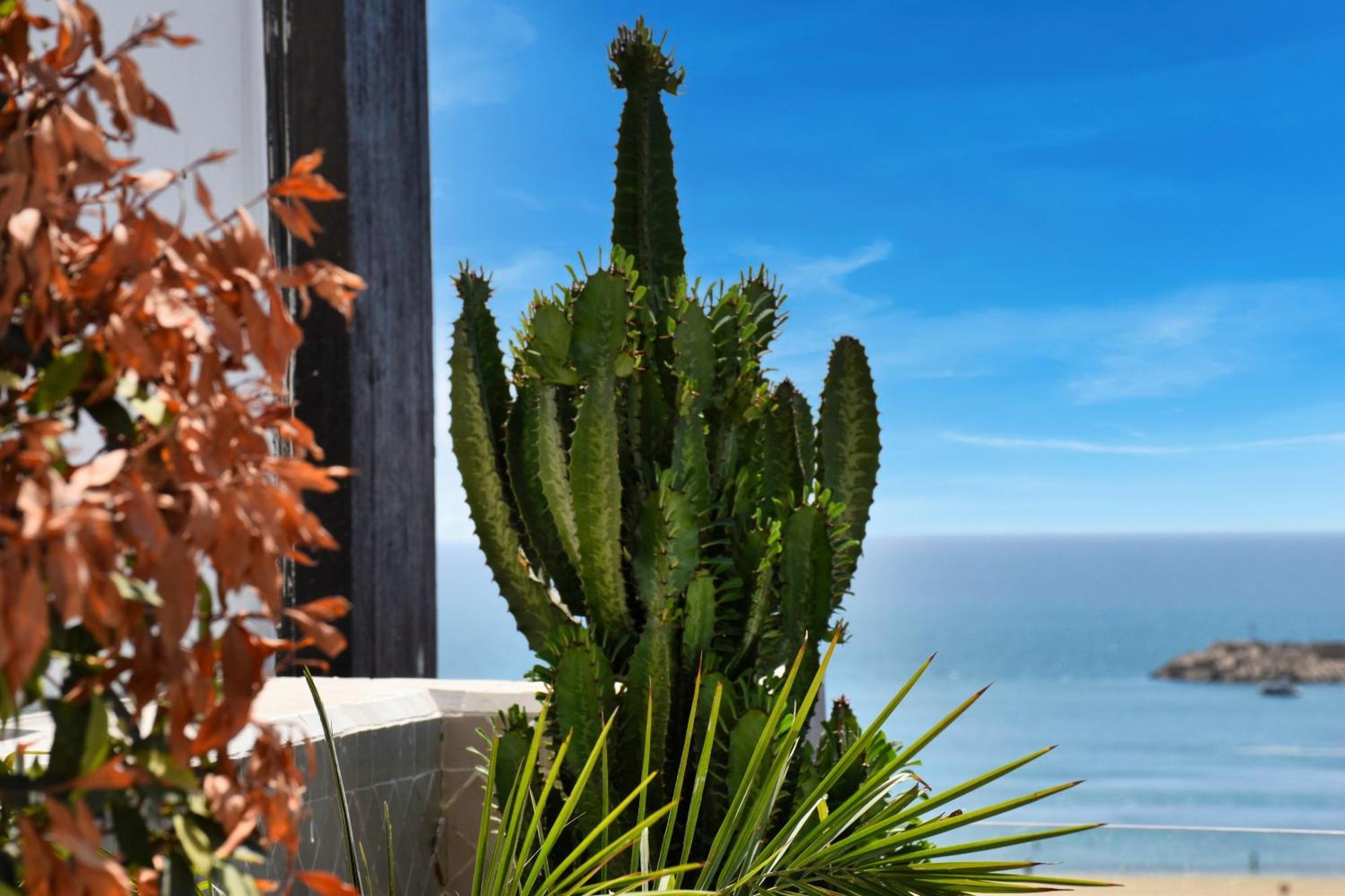 Luxury Seafront Appartement 6-7P Agádír Exteriér fotografie
